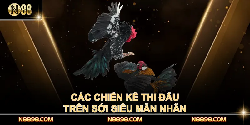 Các chiến kê thi đấu trên sới siêu mãn nhãn