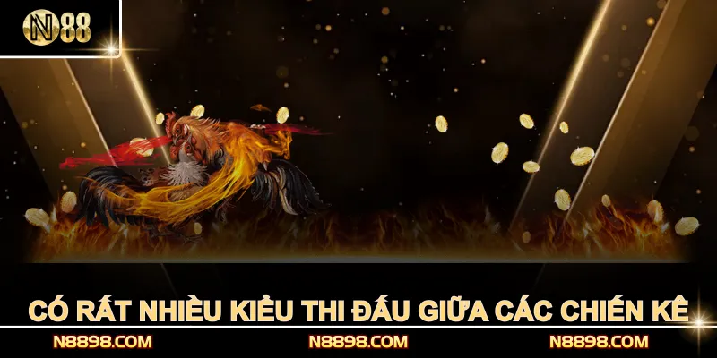 Có rất nhiều kiểu thi đấu giữa các chiến kê