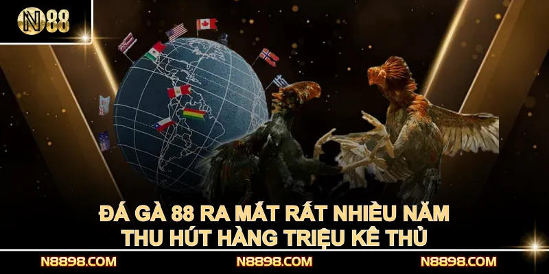 Đá gà 88 ra mắt rất nhiều năm, thu hút hàng triệu kê thủ