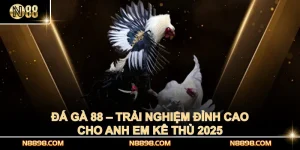 Đá Gà 88 – Trải Nghiệm Đỉnh Cao Cho Anh Em Kê Thủ 2025