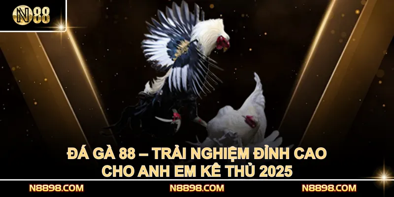 Đá Gà 88 – Trải Nghiệm Đỉnh Cao Cho Anh Em Kê Thủ 2025