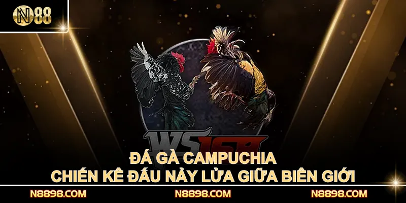 Đá Gà Campuchia – Chiến Kê Đấu Nảy Lửa Giữa Biên Giới