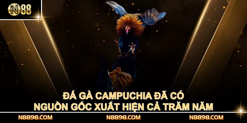 Đá gà Campuchia đã có nguồn gốc xuất hiện cả trăm năm