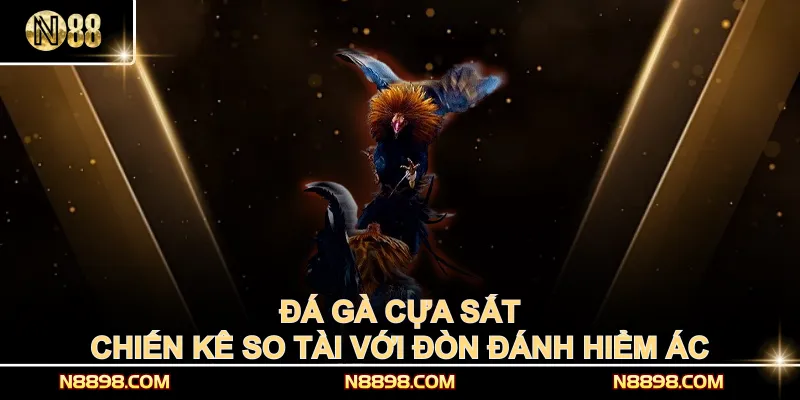 Đá Gà Cựa Sắt – Chiến Kê So Tài Với Đòn Đánh Hiểm Ác