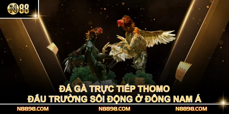 Đá Gà Trực Tiếp Thomo – Đấu Trường Sôi Động Ở Đông Nam Á