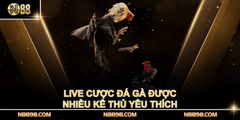 Live cược đá gà được nhiều kê thủ yêu thích