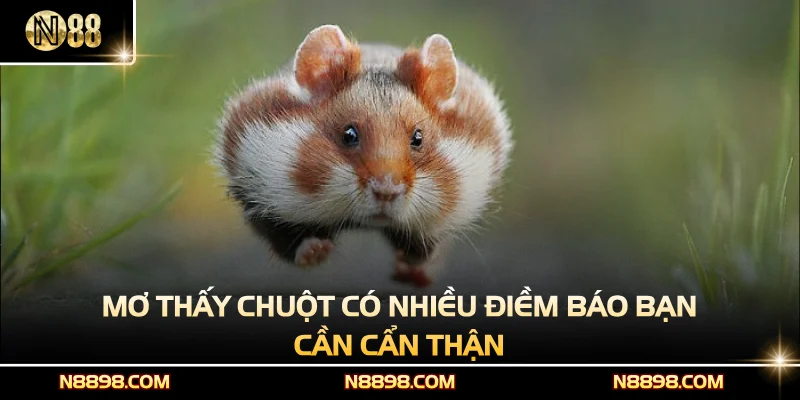Mơ thấy chuột có nhiều điềm báo bạn cần cẩn thận