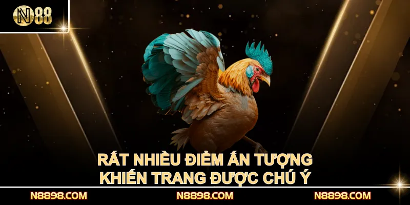 Rất nhiều điểm ấn tượng khiến trang được chú ý