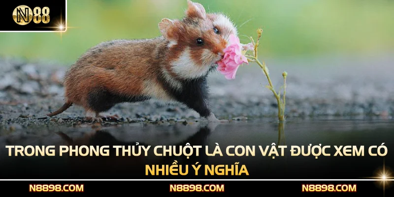 Trong phong thủy chuột là con vật được xem có nhiều ý nghĩa