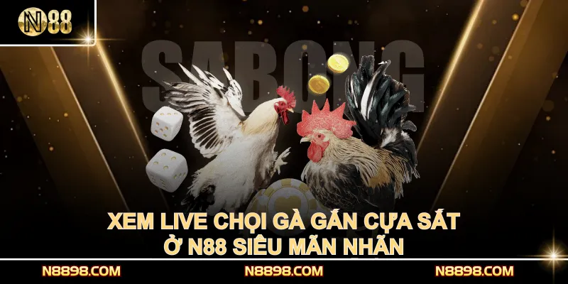 Xem live chọi gà gắn cựa sắt ở N88 siêu mãn nhãn